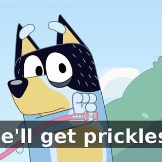 f98f0009-479d-4b84-a2ef-24620a1954e3.gif