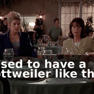 I used to have a Rottweiler like this.