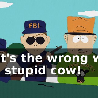 That's the wrong way, you stupid cow!
