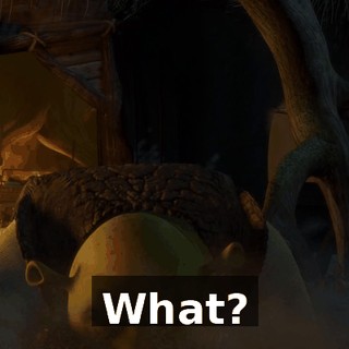 What?