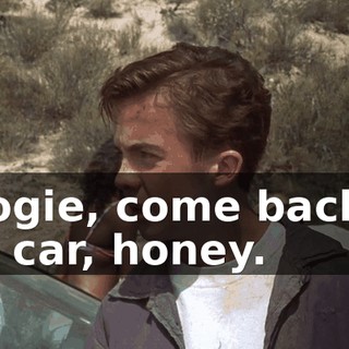 Doogie, come back to the car, honey.