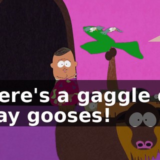 Here's a gaggle of gay gooses!