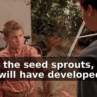 until the seed sprouts, then you will have developed