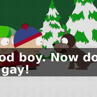 Good boy. Now don't be gay!