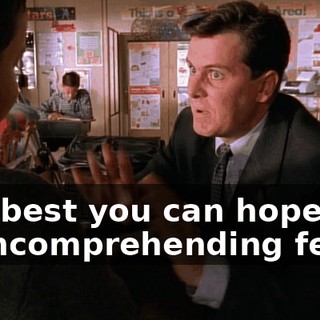 The best you can hope for is uncomprehending fear...