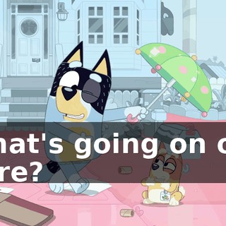 What's going on out here?