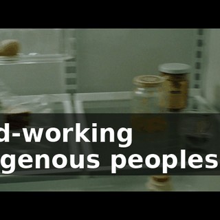 hard-working indigenous peoples of -