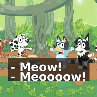 - Meow! - Meoooow!