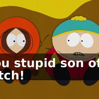 You stupid son of a bitch!