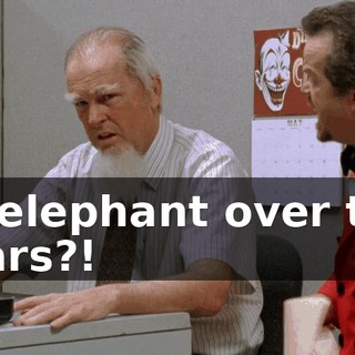 an elephant over two years?!