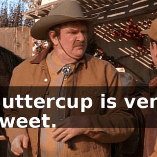 Buttercup is very sweet.