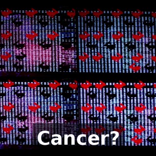 fb6406c4-4b95-43d1-a625-2db940a88872.gif