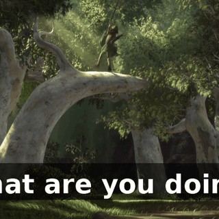 What are you doing?