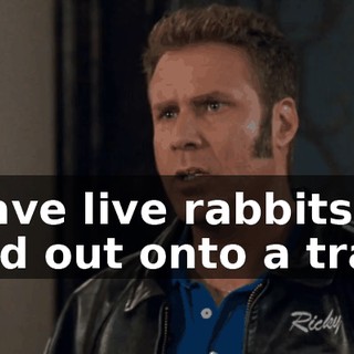 fba49d28-5b8a-40bd-909d-e6d7403630f8.gif