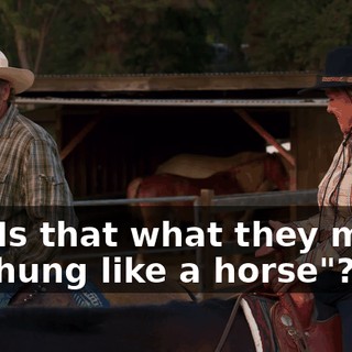 Ha! Is that what they mean by "hung like a horse"?