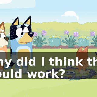 Why did I think that would work?