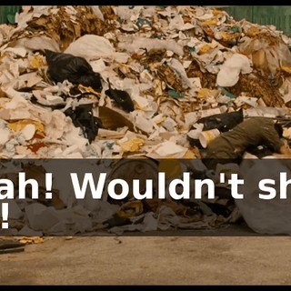 Yeah! Wouldn't shut up!