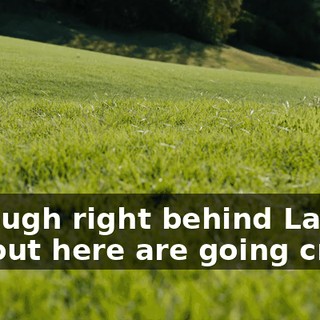 fbef5c49-3016-402c-ab8b-54f4b83293ba.gif