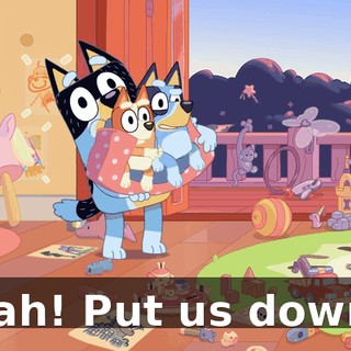 Aah! Put us down!