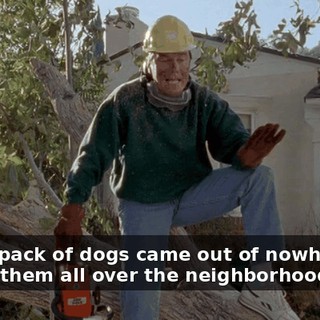 Then a pack of dogs came out of nowhere and chased them all over the neighborhood.