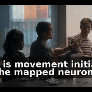 fc576e44-a95e-42e5-81b3-f1e528b870af.gif
