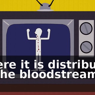 where it is distributed to the bloodstream.