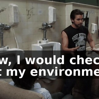 Now, I would check out my environment,