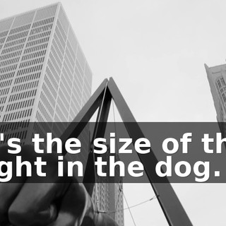 It's the size of the fight in the dog.