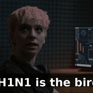 And H1N1 is the bird flu.
