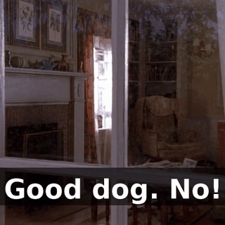 Good dog. No!
