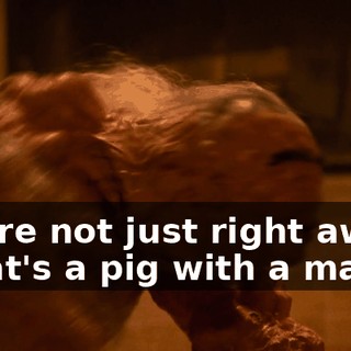 you're not just right away, "That's a pig with a mask."