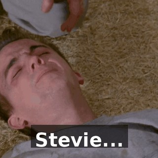Stevie...