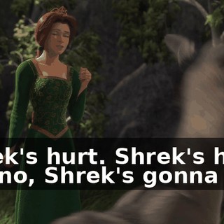 Shrek's hurt. Shrek's hurt? Oh, no, Shrek's gonna die.