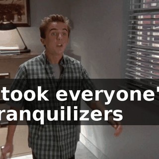 I took everyone's tranquilizers