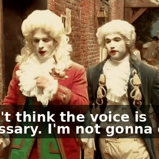 I don't think the voice is necessary. I'm not gonna do it.