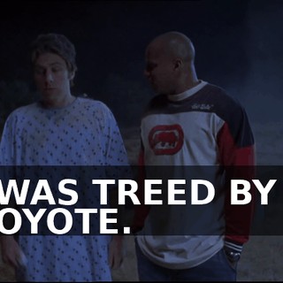 fd53bb71-84e0-42ce-bad2-2d3f1f43b5bd.gif