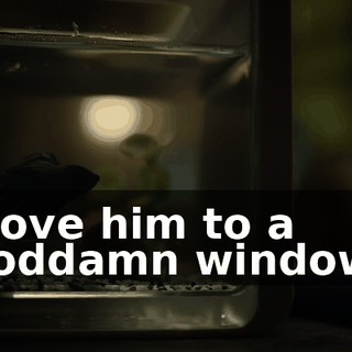 Move him to a goddamn window!
