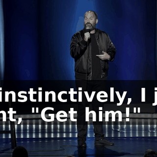 So instinctively, I just went, "Get him!"