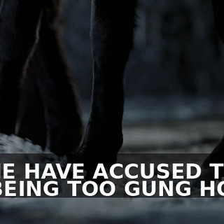 SOME HAVE ACCUSED THEM OF BEING TOO GUNG HO