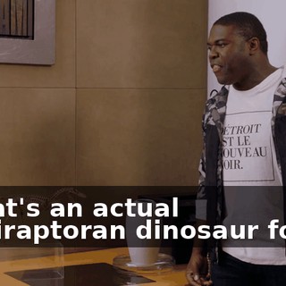 - That's an actual Maniraptoran dinosaur fossil.