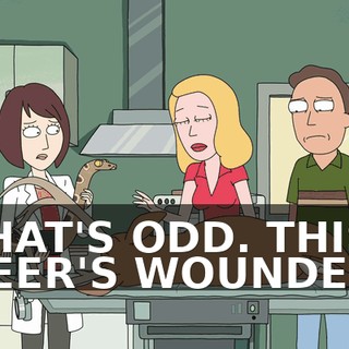 fdc4b82a-313d-4444-bfdf-d8c055d6818e.gif