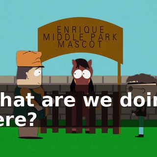 What are we doing here?