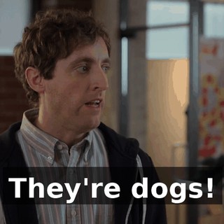 They're dogs!