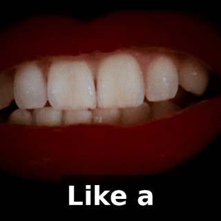 fe466ded-c0e7-4170-96f2-51438caccf06.gif