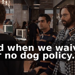 And when we waived our no dog policy...