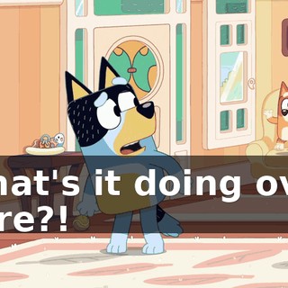 What's it doing over here?!