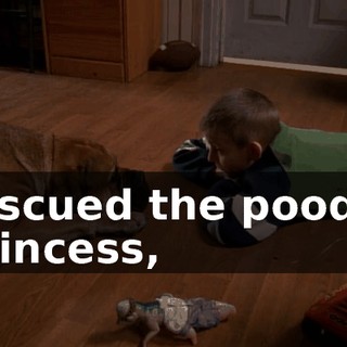 rescued the poodle princess,