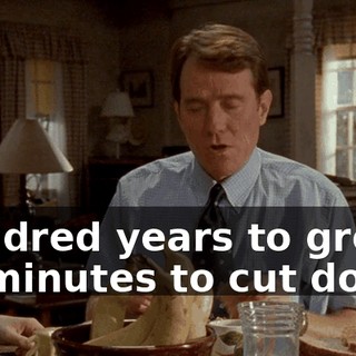 Hundred years to grow, 12 minutes to cut down.