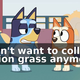 ff1b1195-ccb6-42df-aaf6-7f0b85cb4020.gif