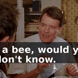 - of a bee, would you? - I don't know.